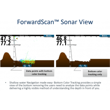 ForwardScan™ Transducer Only