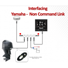 IS35 Digital Gauge